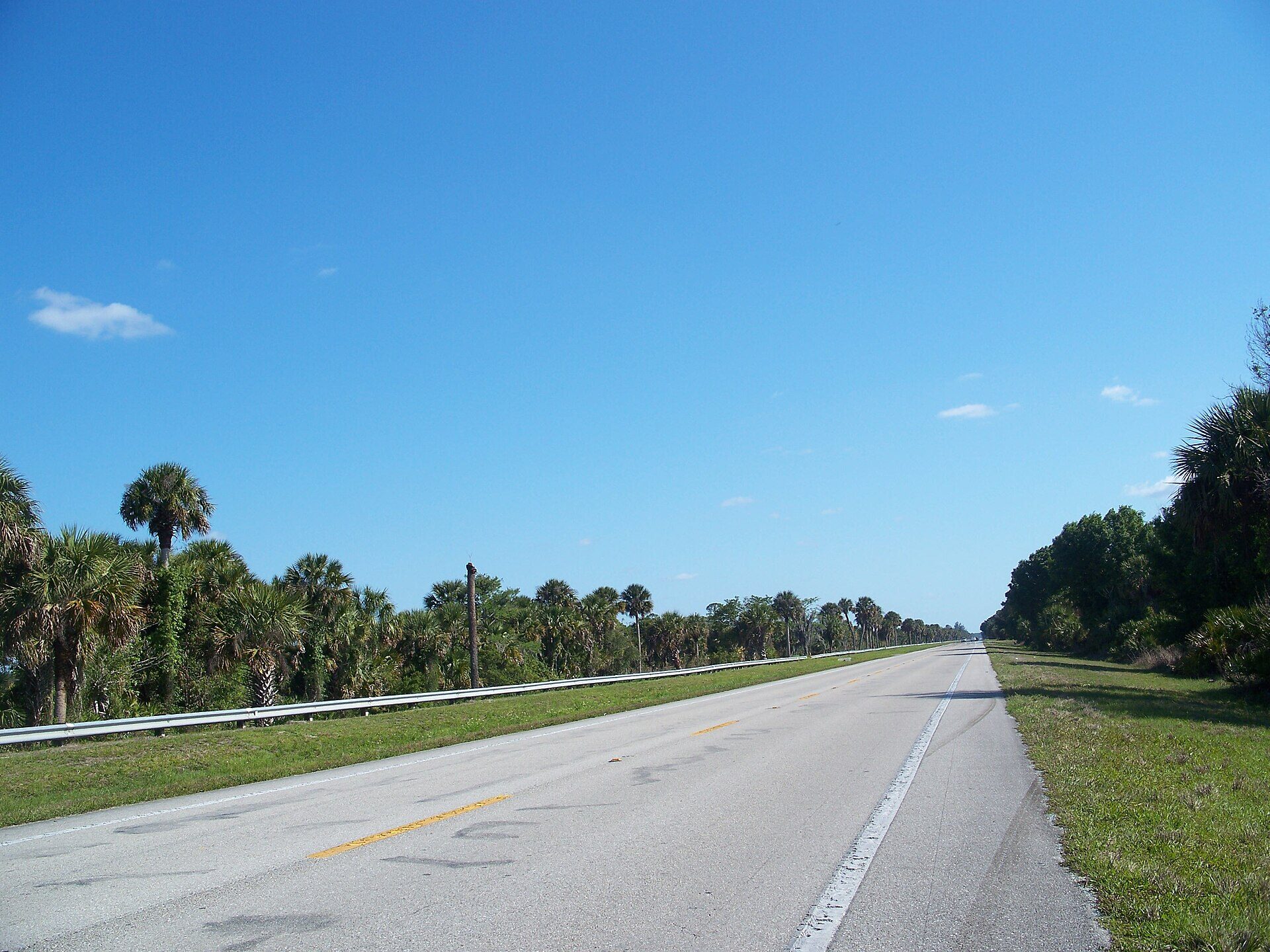 An empty two-lane road running away from the camera under a clear blue sky. A metal guardrail runs along the left shoulder with a dense line of sabal palms behind it, and low trees and mown grass on the right. The road carries a yellow centre line and white edge lines. There is no person and no vehicle anywhere in the frame.