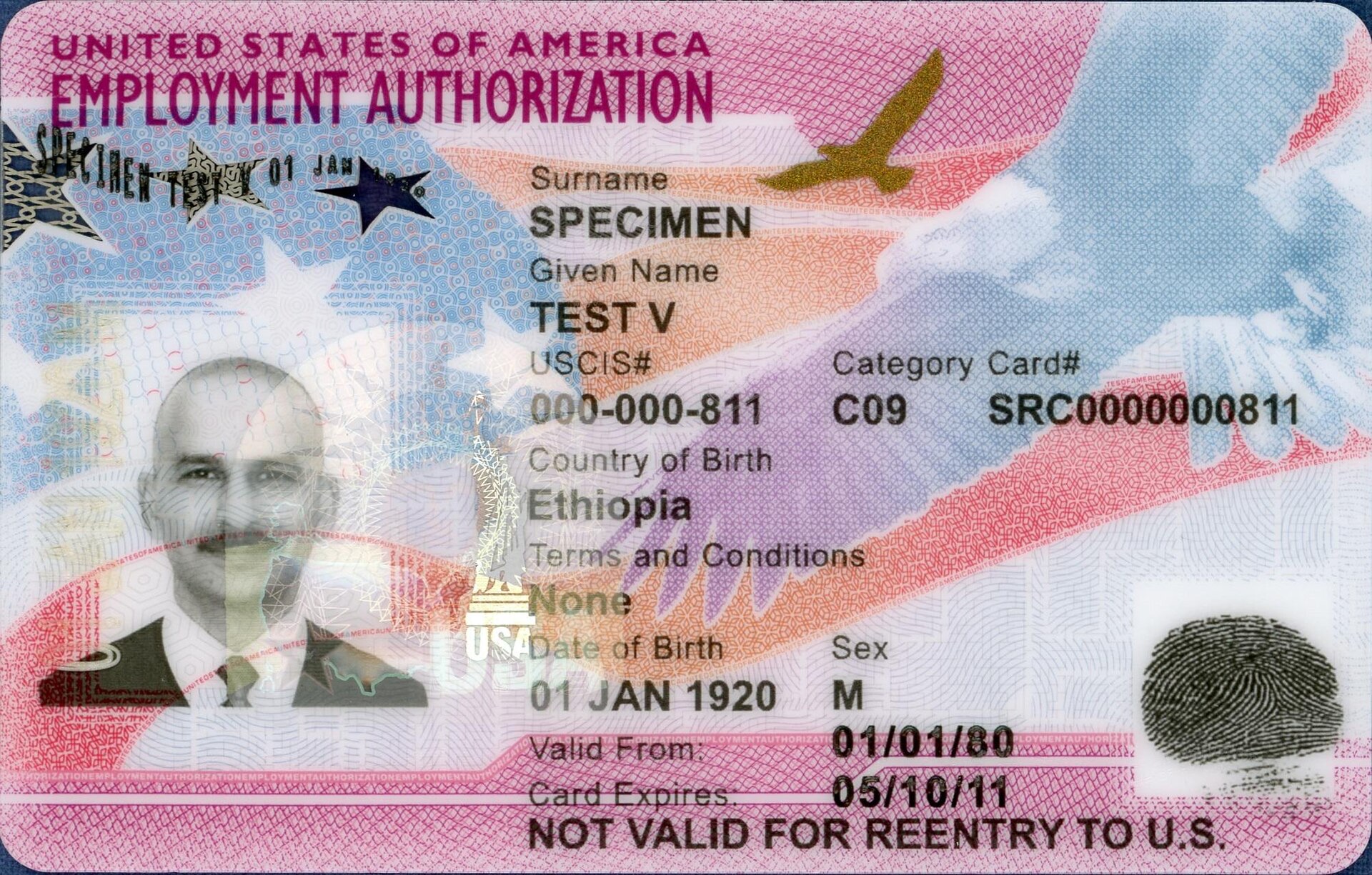 A USCIS specimen Employment Authorization Document — the work permit card — marked SPECIMEN and TEST